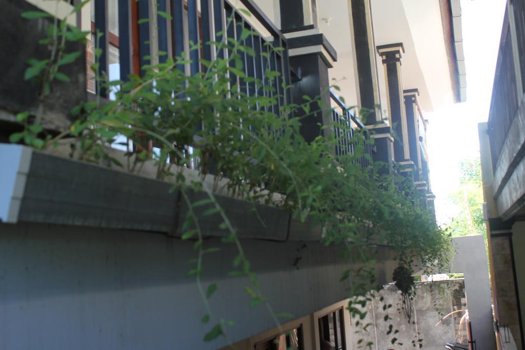 Putra Dadi Guest House تْشانغو المظهر الخارجي الصورة